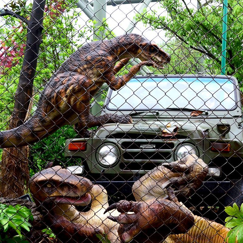 Lifelike Dinosaur Model Deinonychus(4)(001)