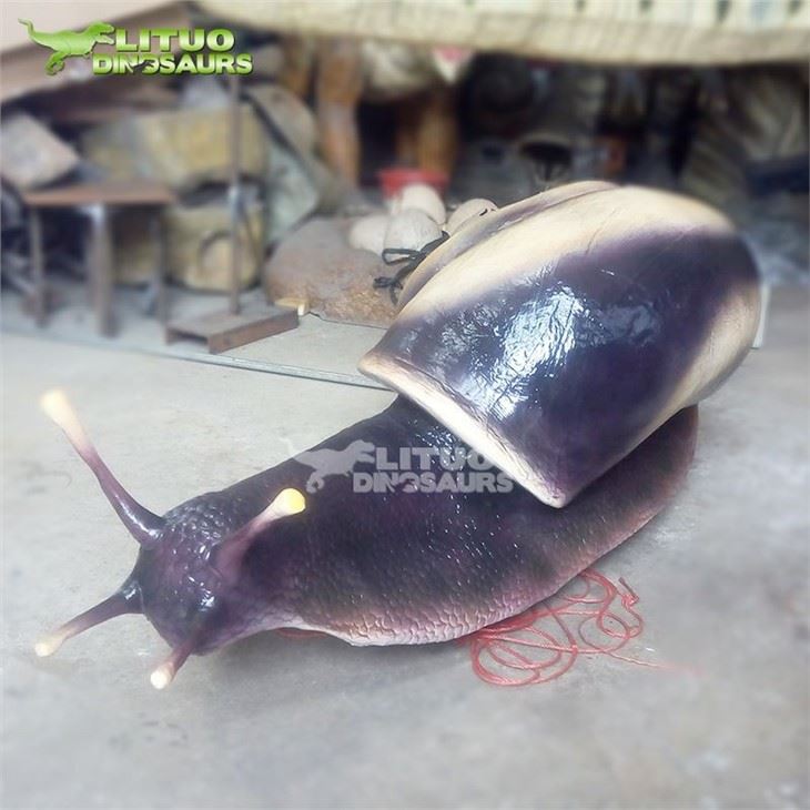 4Snail(001)